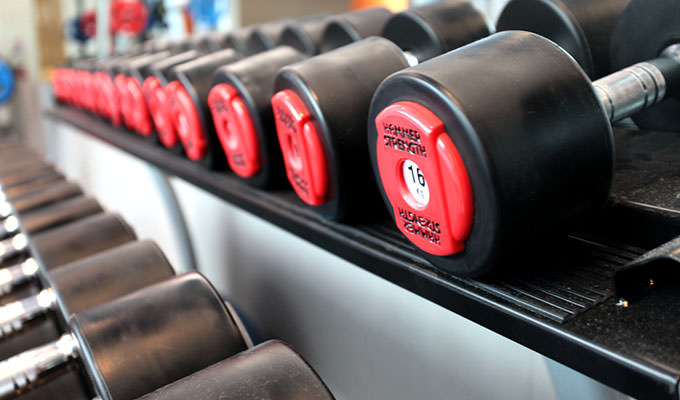 MUSCULATION